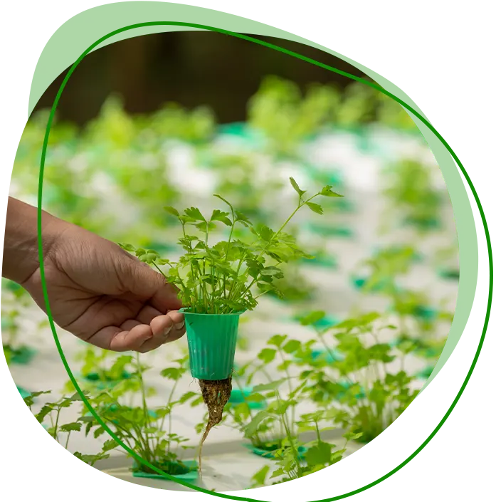 Eco-Farmland in Chennai